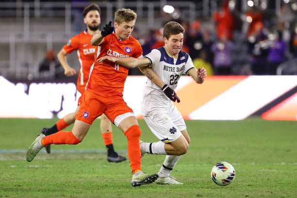 因舍不得掏 因舍不得掏