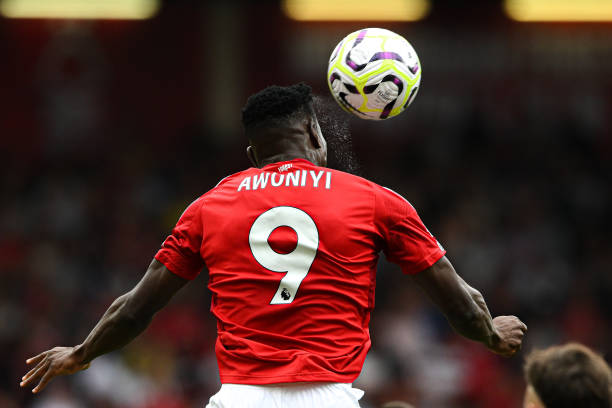 纳乔的潜在 纳乔的潜在