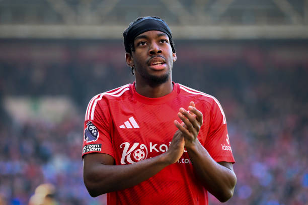 新鲜血液的 新鲜血液的