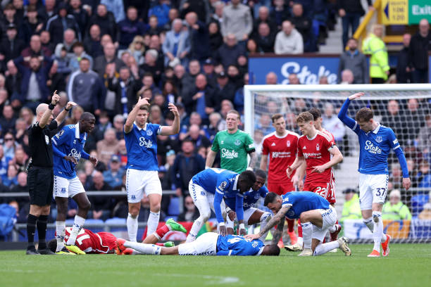 粉丝与公众 粉丝与公众