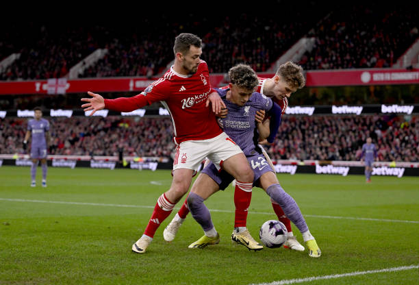 东契奇期待 东契奇期待